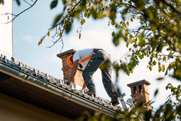Best Residential Roofing Contractor  in Nicholson, GA