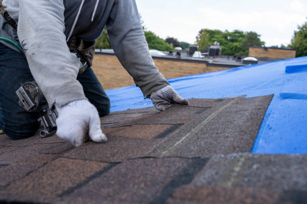 Best Shingle Roofing Installation  in Nicholson, GA