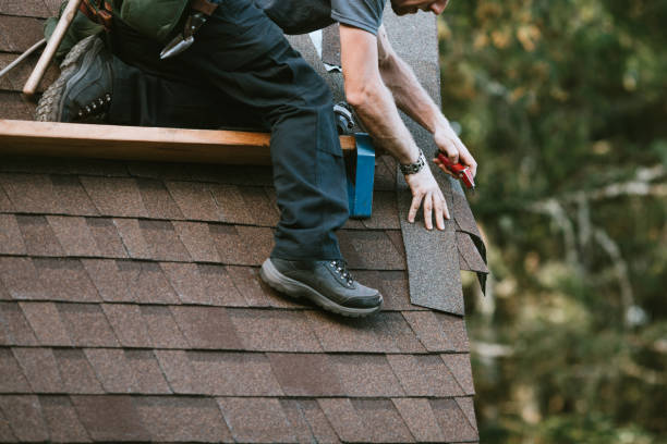 Best Local Roofing Companies  in Nicholson, GA
